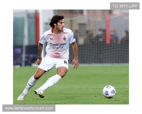 托纳利国家队表现